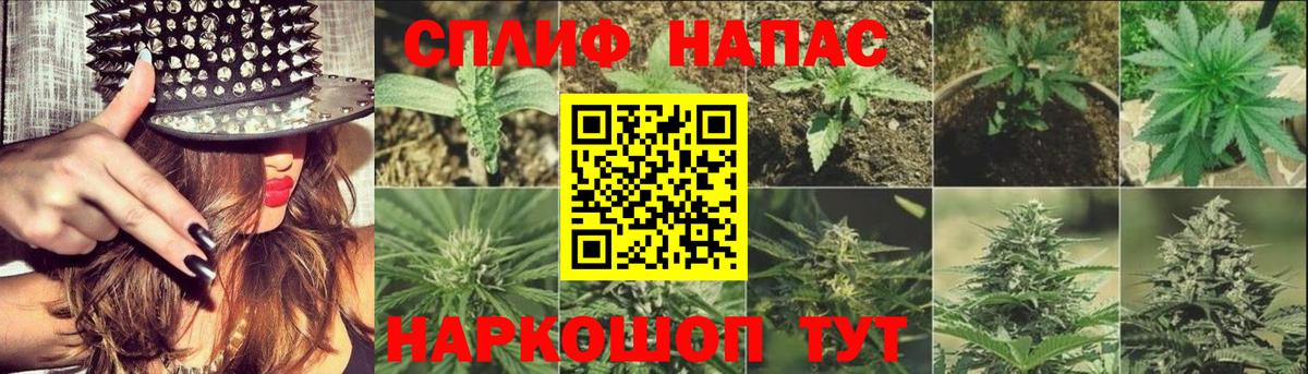 Шишки марихуана MAZAR  Вход с VPN  Кимры  Канабис Ganja 